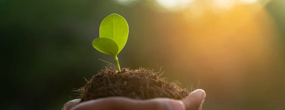 SUSTAINABILITY